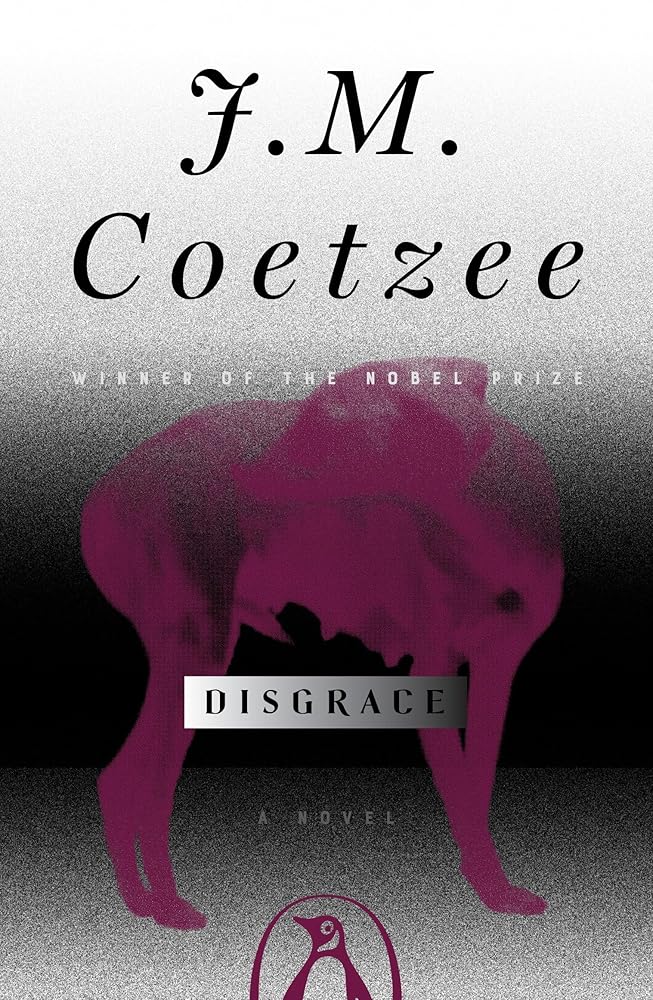 Disgrace: A Novel cover image