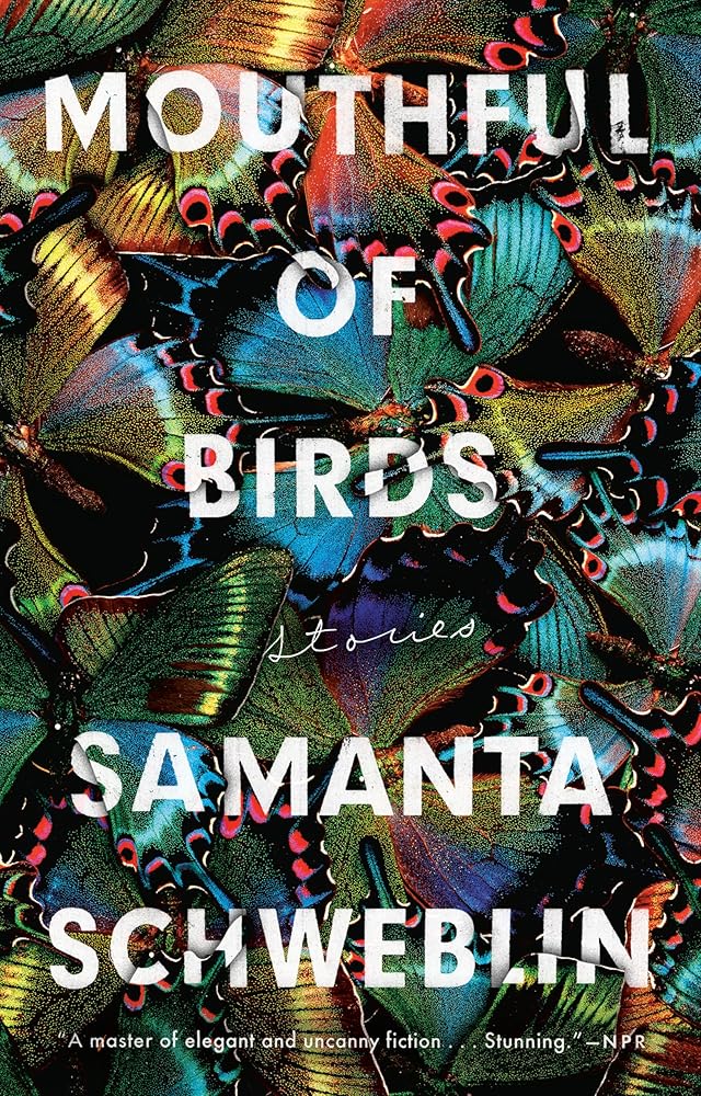 Mouthful of Birds: Stories cover image