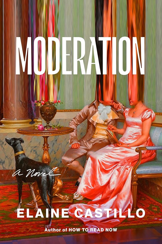 Moderation: A Novel cover image