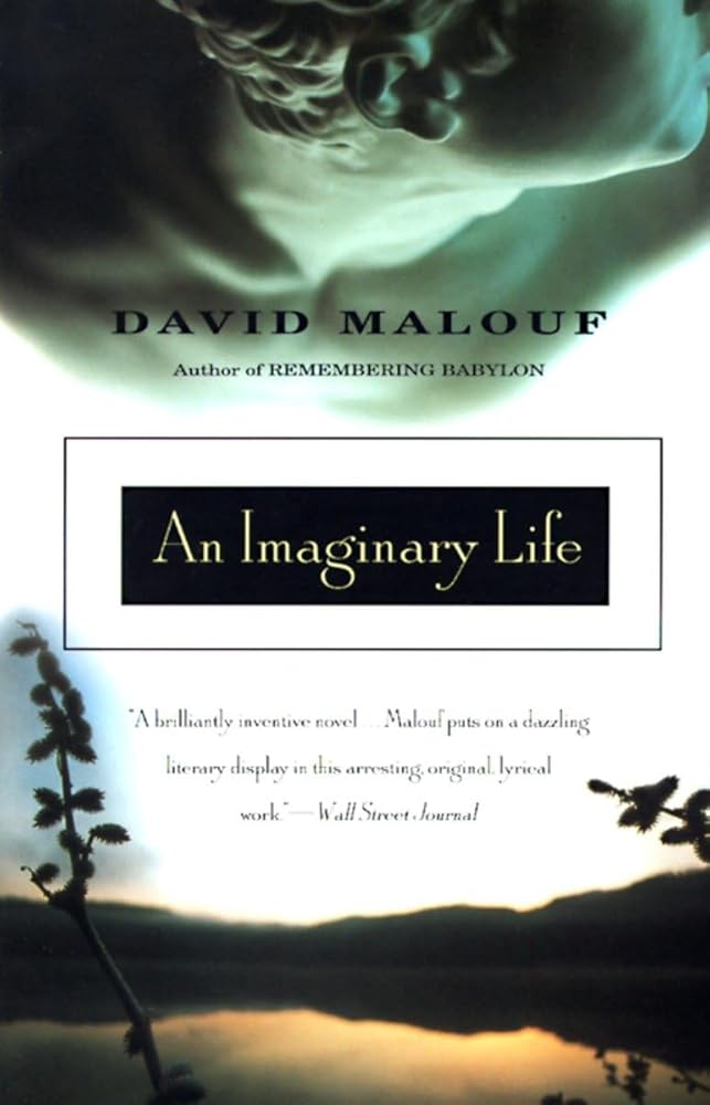 An Imaginary Life cover image
