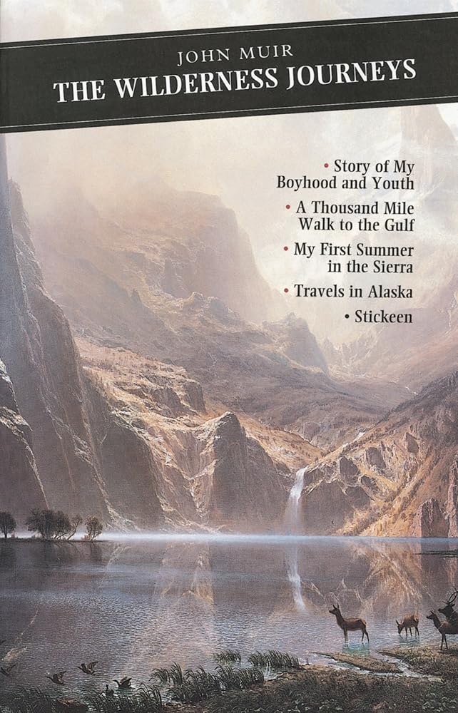 The Wilderness Journeys (Canongate) cover image