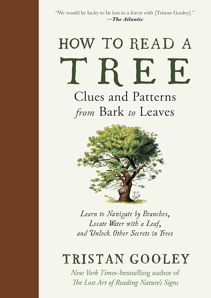 How to Read a Tree: Clues and Patterns from Bark to Leaves (Natural Navigation) cover image