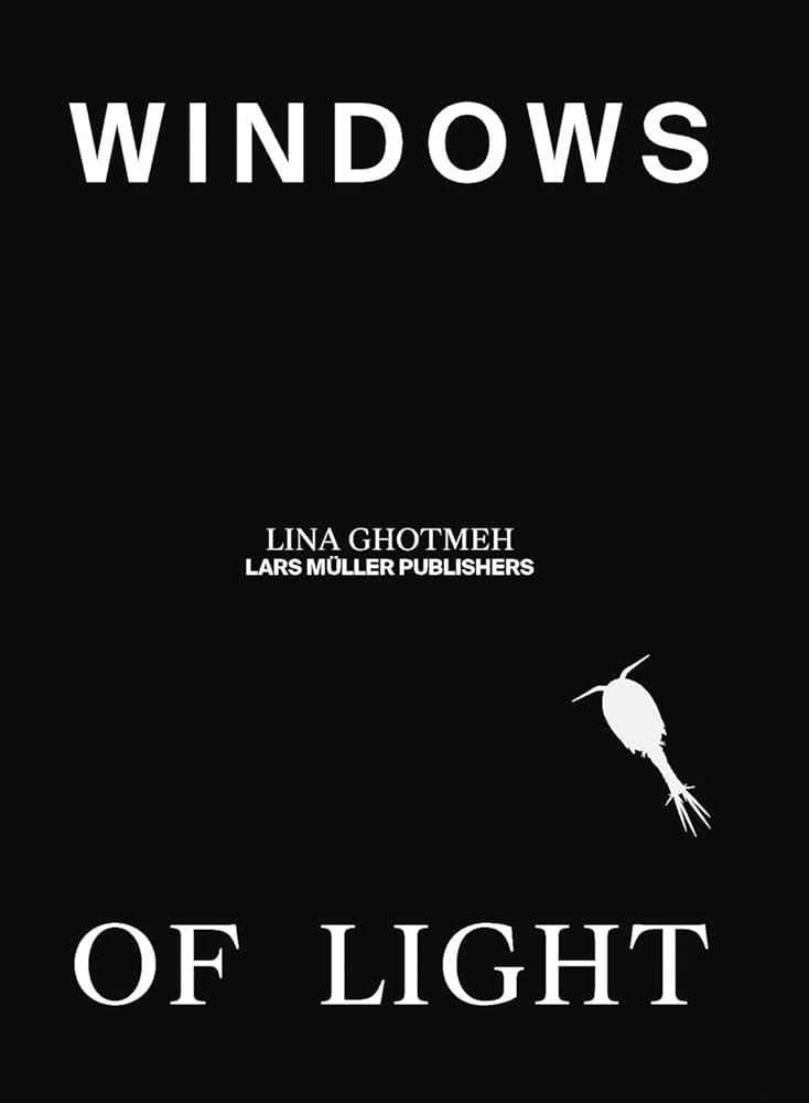 Windows of Light cover image