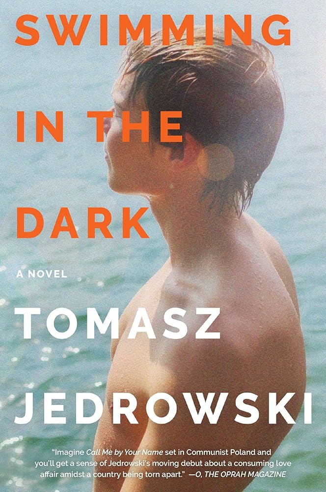 Swimming in the Dark: A Novel cover image