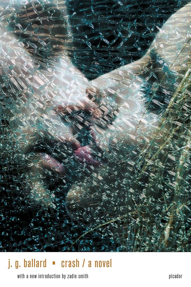Crash: A Novel cover image
