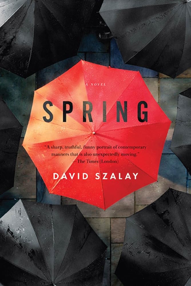 Spring: A Novel cover image